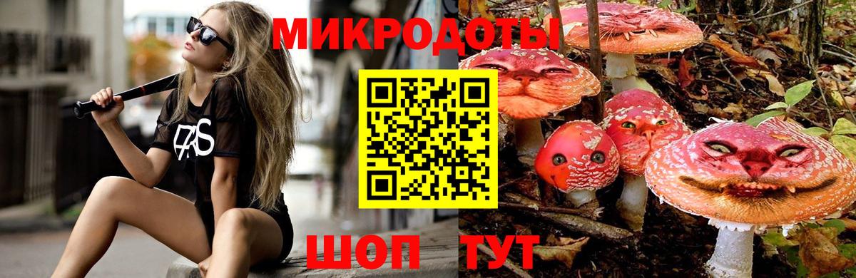 Галлюциногенные грибы Psilocybe Ипатово